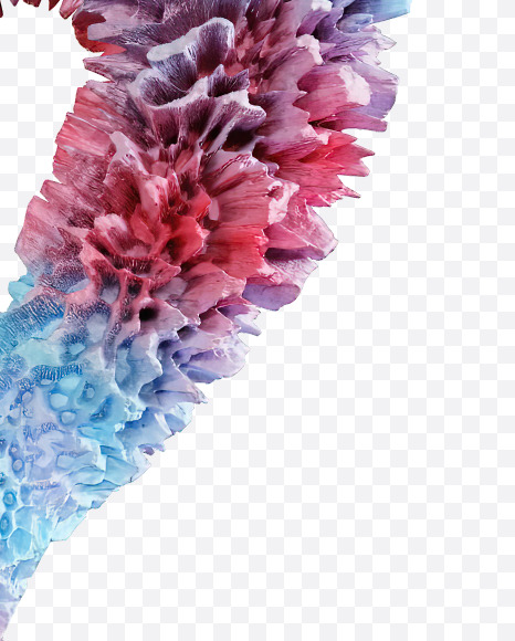 2 from Coral Reef alphabet on Yellow Images Creative Fonts - S74356