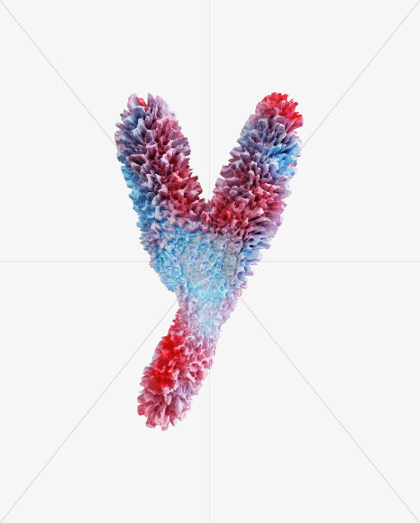 Letter Y from Coral Reef alphabet on Yellow Images Creative Fonts - S74352