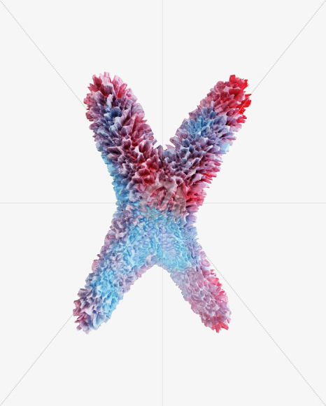 Letter X from Coral Reef alphabet on Yellow Images Creative Fonts - S74351