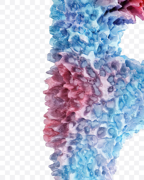 Letter F from Coral Reef alphabet on Yellow Images Creative Fonts - S74333