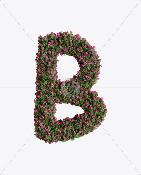 B
