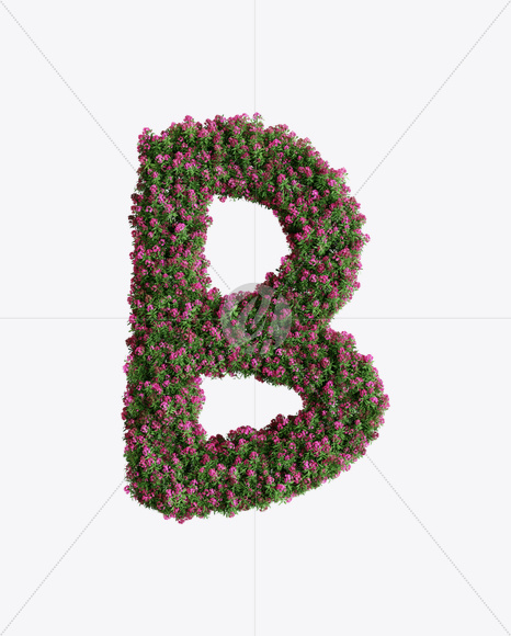 Letter B from Oleander flower alphabet on Yellow Images Creative Fonts - S74520