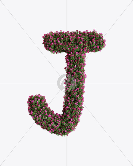 Letter J from Oleander flower alphabet on Yellow Images Creative Fonts - S74528