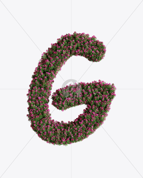 Letter G from Oleander flower alphabet on Yellow Images Creative Fonts - S74525