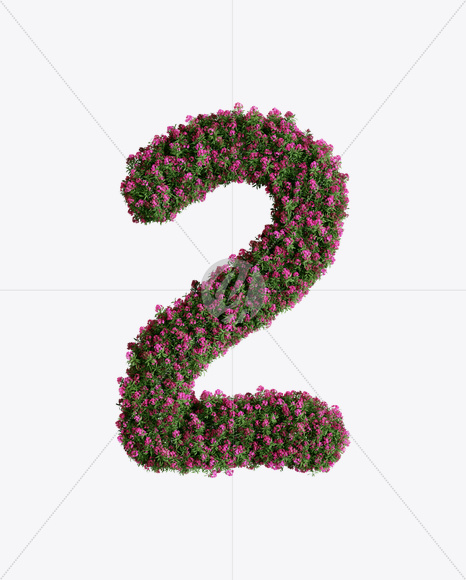 2