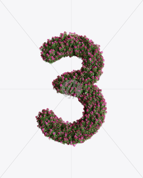 3