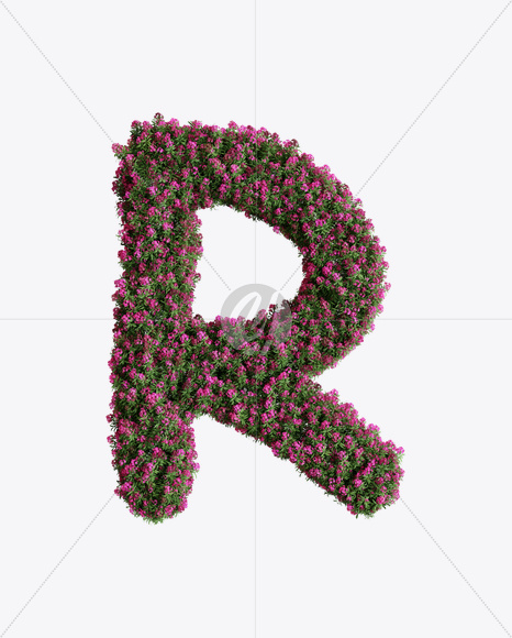 Letter R from Oleander flower alphabet on Yellow Images Creative Fonts - S74536