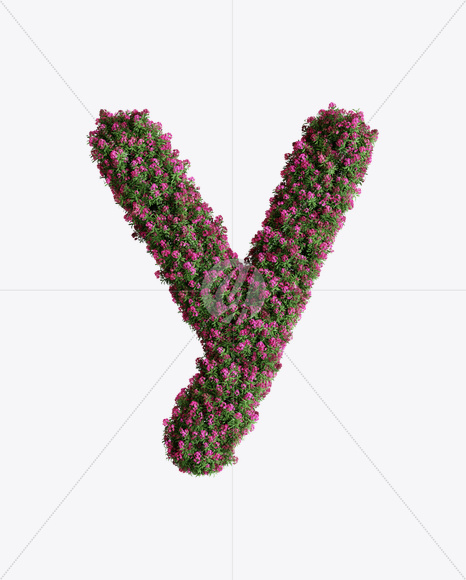 Letter Y from Oleander flower alphabet on Yellow Images Creative Fonts - S74543