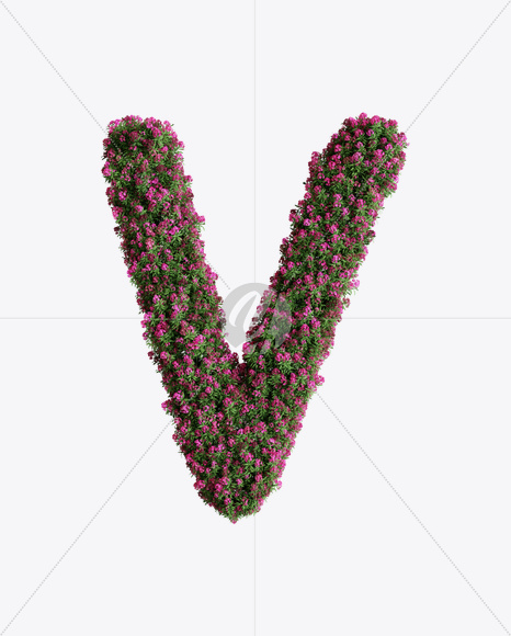 Letter V from Oleander flower alphabet on Yellow Images Creative Fonts - S74540