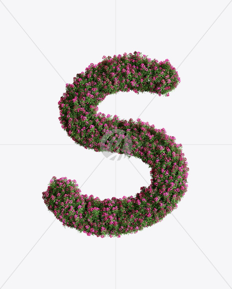 Letter S from Oleander flower alphabet on Yellow Images Creative Fonts - S74537