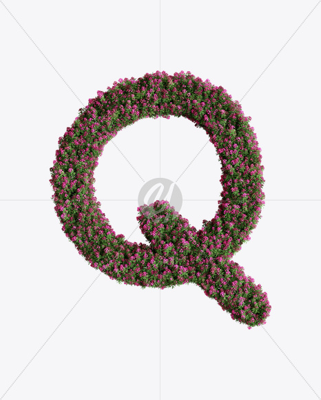 Letter Q from Oleander flower alphabet on Yellow Images Creative Fonts - S74535