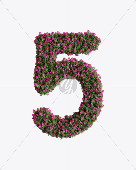 5