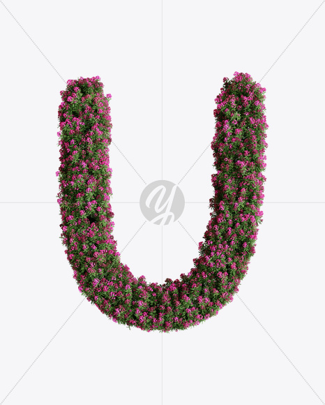 Letter U from Oleander flower alphabet on Yellow Images Creative Fonts - S74539