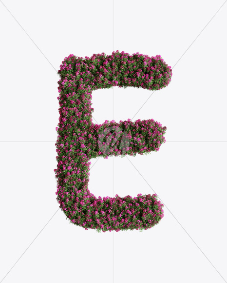 Letter E from Oleander flower alphabet on Yellow Images Creative Fonts - S74523