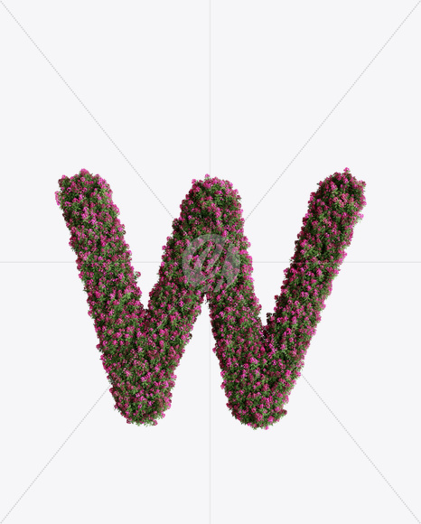 Letter W from Oleander flower alphabet on Yellow Images Creative Fonts - S74541