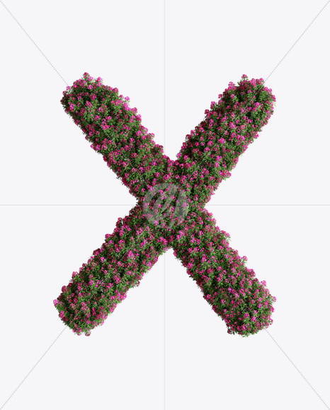 X