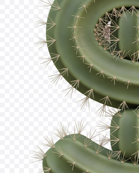 $ from Cactus Alphabet on Yellow Images Creative Fonts - S79446
