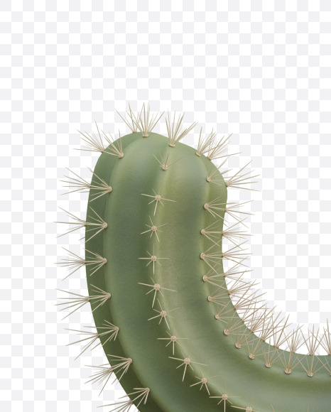 Letter Y from Cactus Alphabet on Yellow Images Creative Fonts - S79432