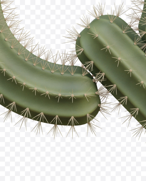 Letter Q from Cactus Alphabet on Yellow Images Creative Fonts - S79424