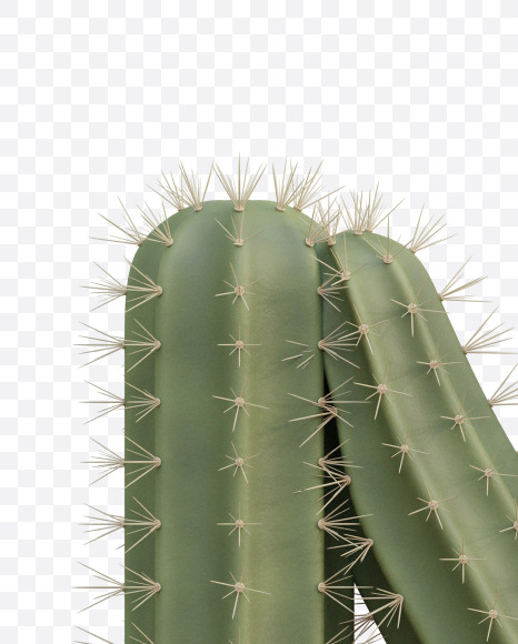 Letter N from Cactus Alphabet on Yellow Images Creative Fonts - S79421