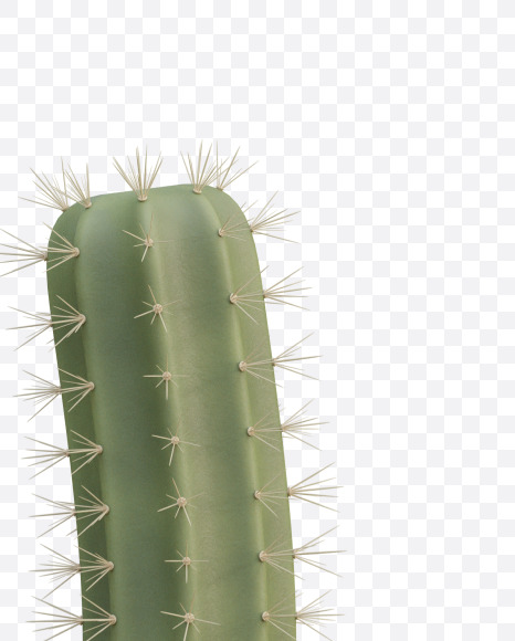 Letter J from Cactus Alphabet on Yellow Images Creative Fonts - S79417