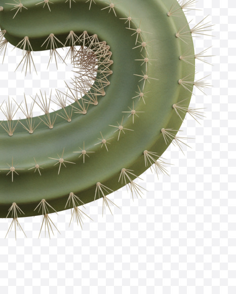 Letter G from Cactus Alphabet on Yellow Images Creative Fonts - S79414