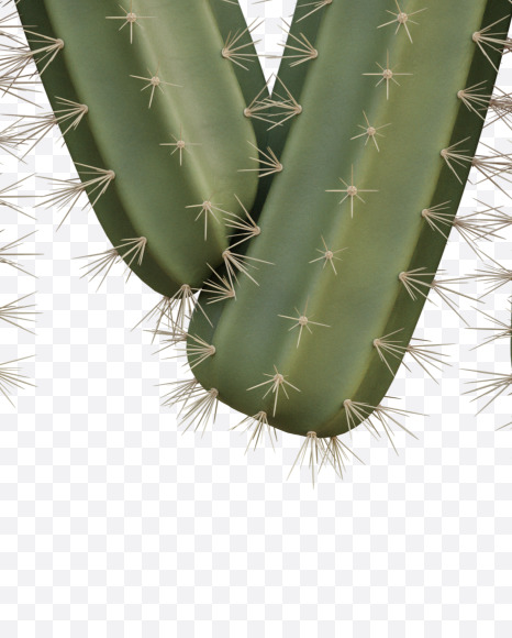 Letter M from Cactus Alphabet on Yellow Images Creative Fonts - S79420