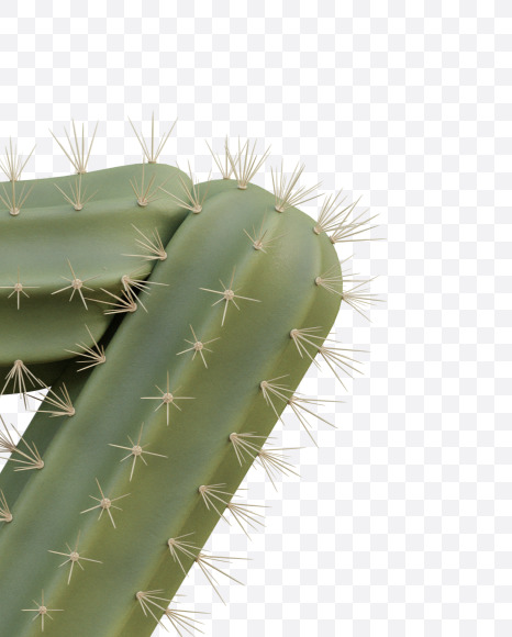 7 from Cactus Alphabet on Yellow Images Creative Fonts - S79440