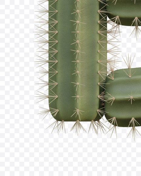 Letter E from Cactus Alphabet on Yellow Images Creative Fonts - S79412