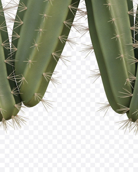 Letter W from Cactus Alphabet on Yellow Images Creative Fonts - S79430