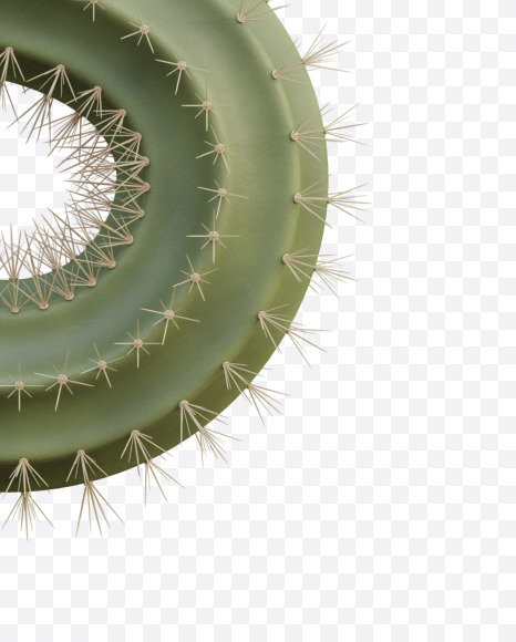 3 from Cactus Alphabet on Yellow Images Creative Fonts - S79436