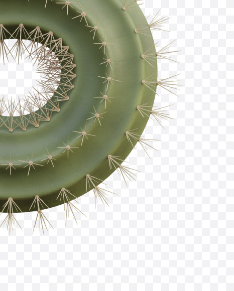 6 from Cactus Alphabet on Yellow Images Creative Fonts - S79439