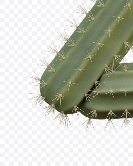 Letter Z from Cactus Alphabet on Yellow Images Creative Fonts - S79433