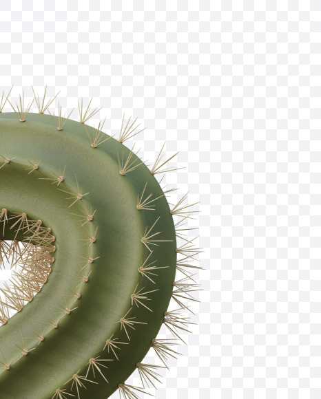 ? from Cactus 3D Alphabet on Yellow Images Creative Fonts - S79487