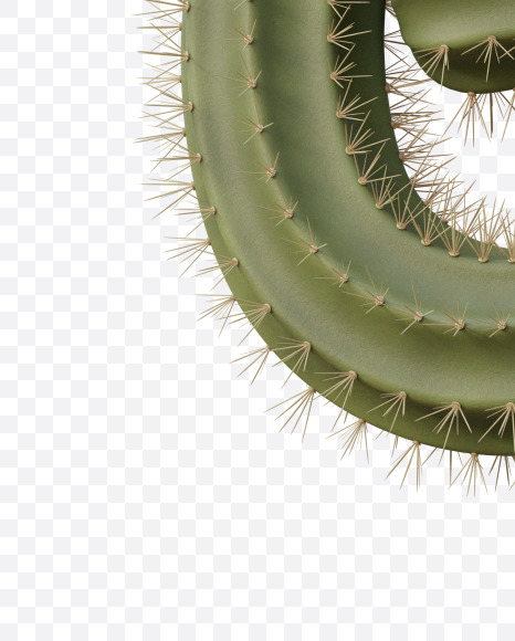 6 from Cactus 3D Alphabet on Yellow Images Creative Fonts - S79481