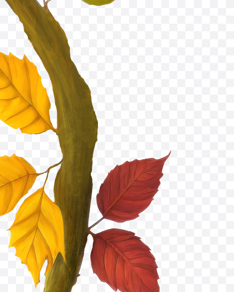 0 from Stylized autumn leaf alphabet on Yellow Images Creative Fonts - S80980