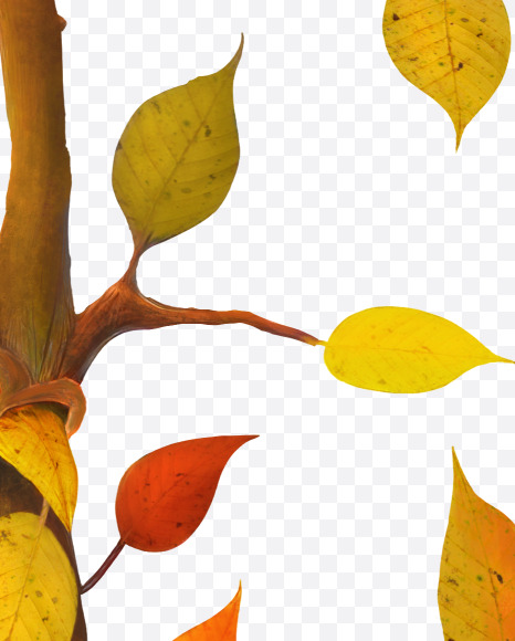 Letter E from Stylized autumn leaf alphabet on Yellow Images Creative Fonts - S80958