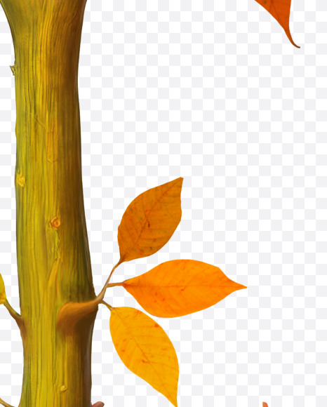 Letter L from Stylized autumn leaf alphabet on Yellow Images Creative Fonts - S80965