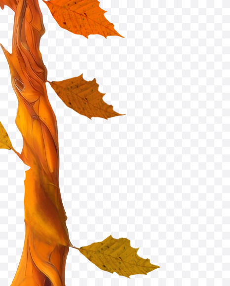 1 from Stylized autumn leaf alphabet on Yellow Images Creative Fonts - S80982