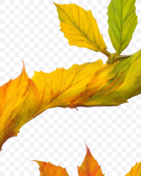 2 from Stylized autumn leaf alphabet on Yellow Images Creative Fonts - S80983