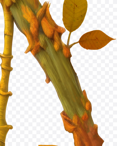 Letter M from Stylized autumn leaf alphabet on Yellow Images Creative Fonts - S80966