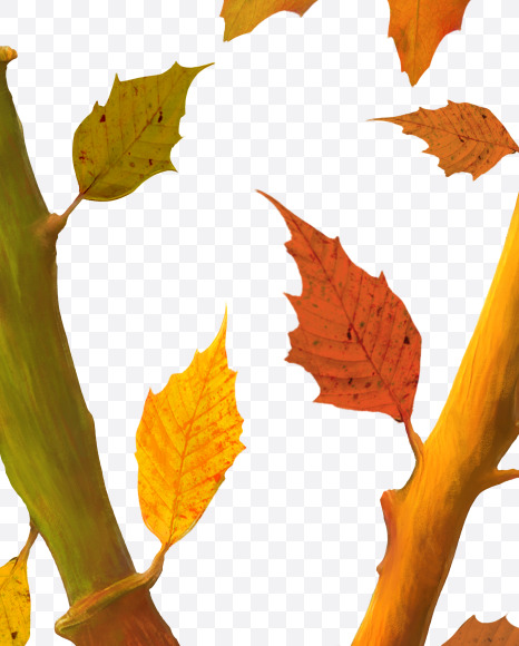 Letter V from Stylized autumn leaf alphabet on Yellow Images Creative Fonts - S80975