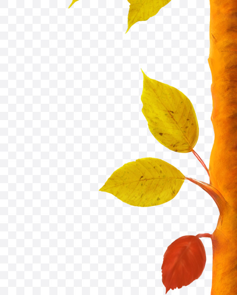 Letter I from Stylized autumn leaf alphabet on Yellow Images Creative Fonts - S80962