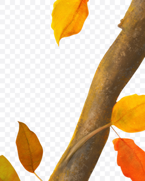 7 from Stylized autumn leaf alphabet on Yellow Images Creative Fonts - S80988