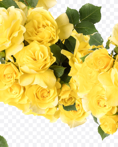 Letter S from Yellow roses alphabet on Yellow Images Creative Fonts - S81203
