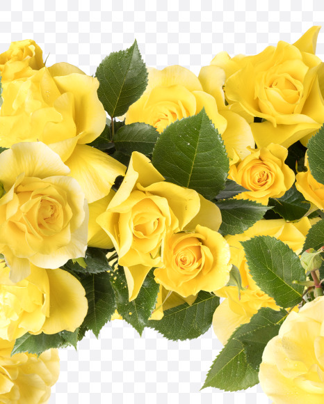 9 from Yellow roses alphabet on Yellow Images Creative Fonts - S81220