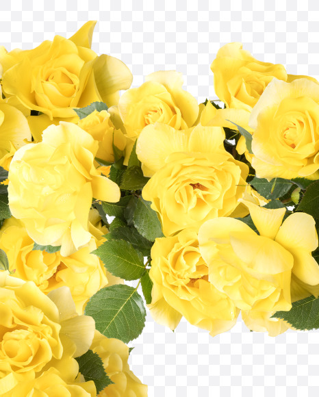 Letter T from Yellow roses alphabet on Yellow Images Creative Fonts - S81204