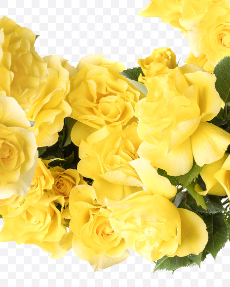 3 from Yellow roses alphabet on Yellow Images Creative Fonts - S81214