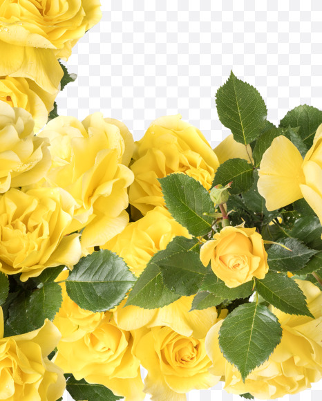 Letter H from Yellow roses alphabet on Yellow Images Creative Fonts - S81192