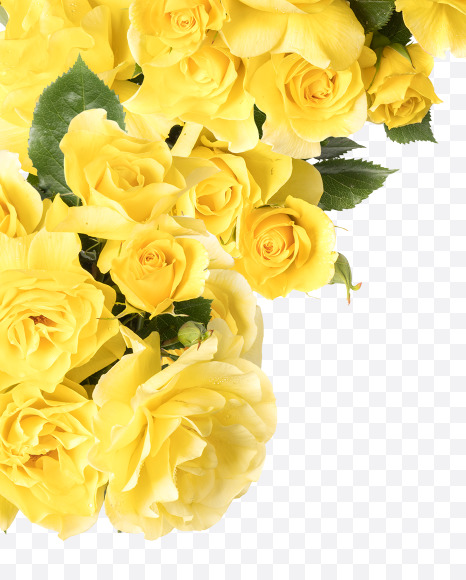 Letter X from Yellow roses alphabet on Yellow Images Creative Fonts - S81208